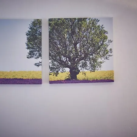 Dom wakacyjny House Dvor Seget Vranjica