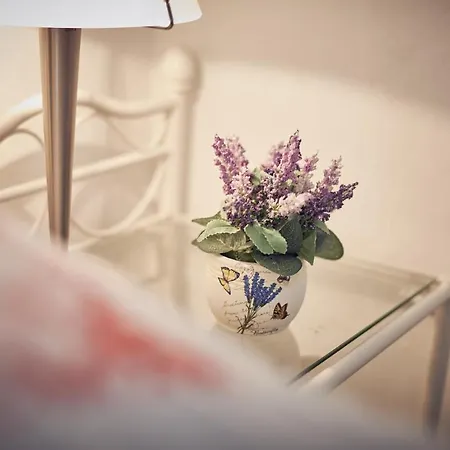 House Dvor * Seget Vranjica