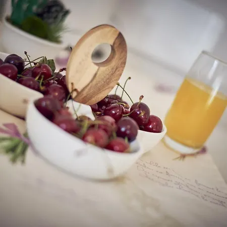 Hébergement de vacances House Dvor Seget Vranjica