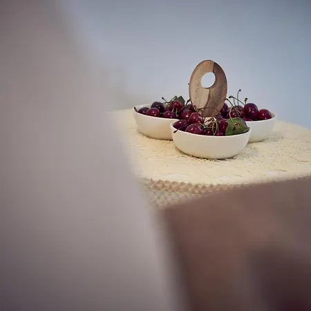 Dom wakacyjny House Dvor *